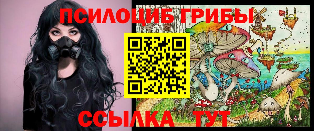 Псилоцибиновые грибы прущие грибы Верхняя Пышма