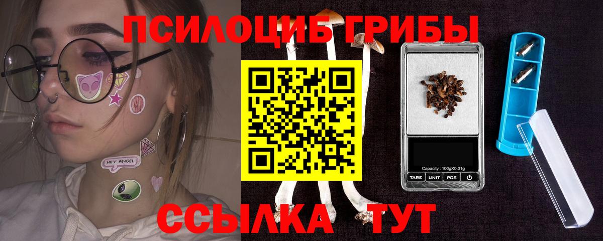 Верхняя Пышма  Галлюциногенные грибы Magic Shrooms  Вход с VPN 